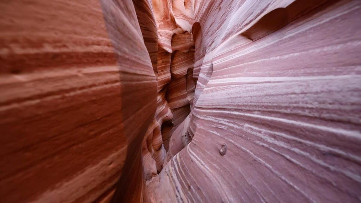 Вілла Escalante Escapes Tumble Weed- Bunk Escape Екстер'єр фото